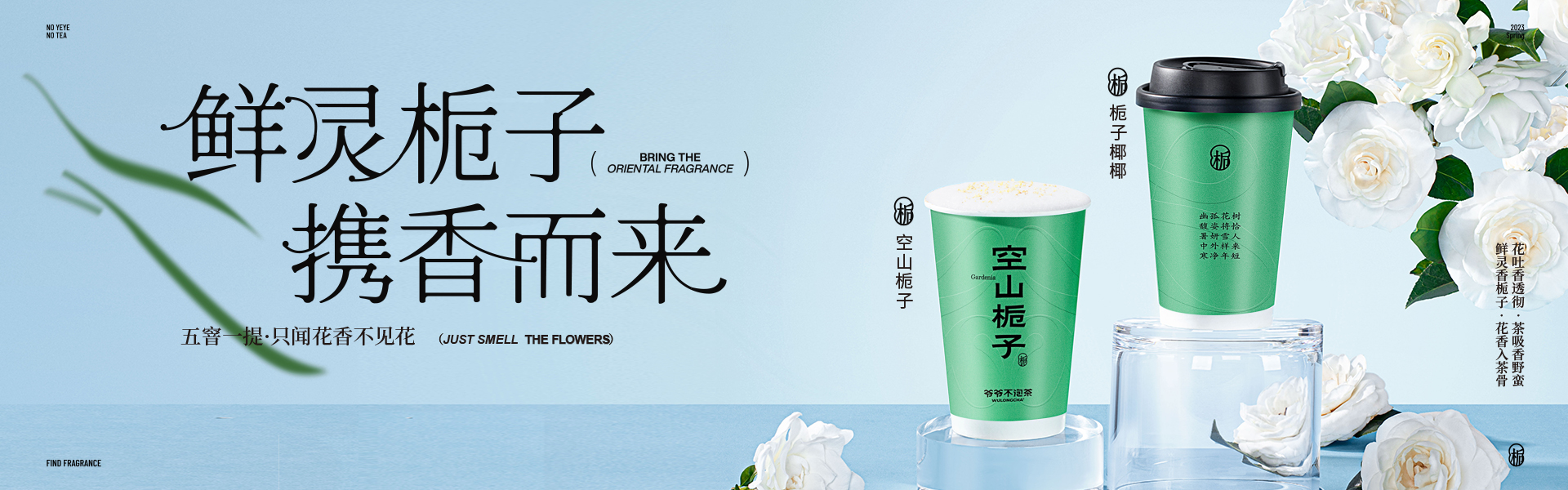 爷爷不泡茶