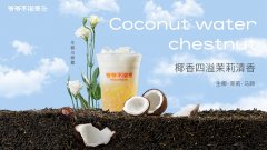 爷爷不泡茶获得成功的原因,2元冰淇淋